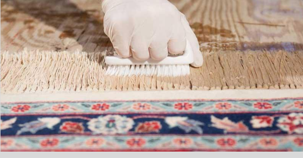 راه حل زردی ریشه فرش